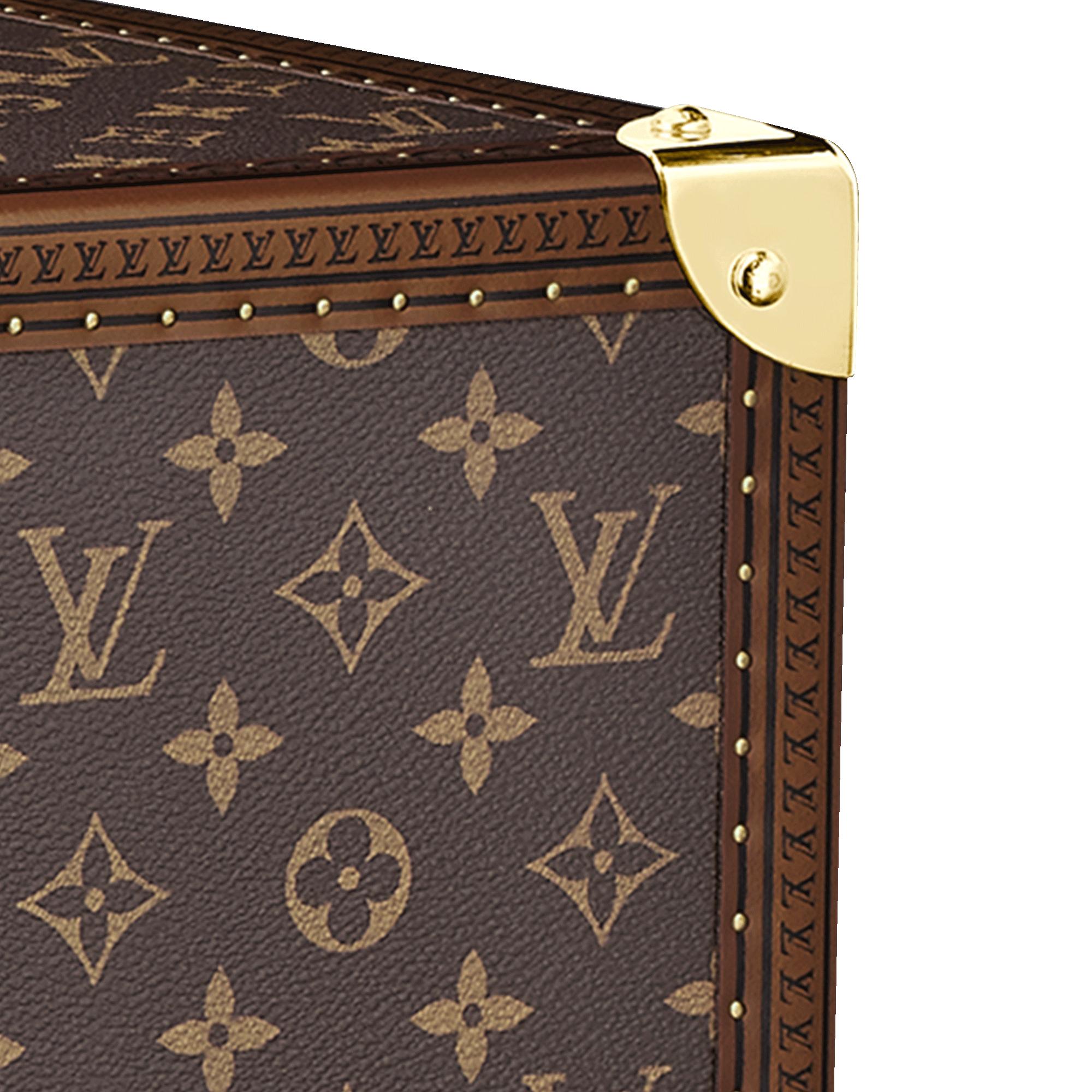 Alzer 80 Monogram Canvas in Les Extraordinaires