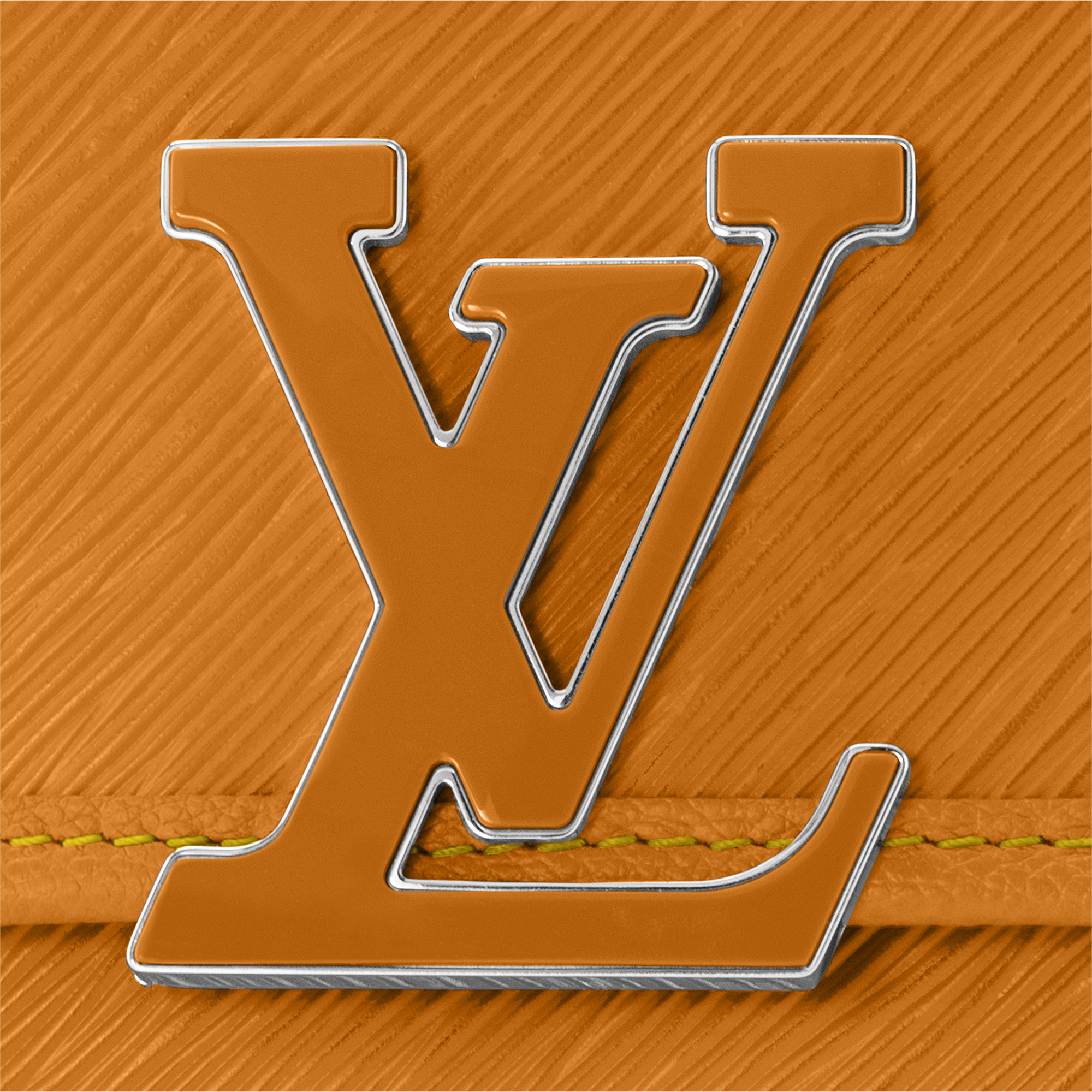 Buci Epi 皮革 in 女士