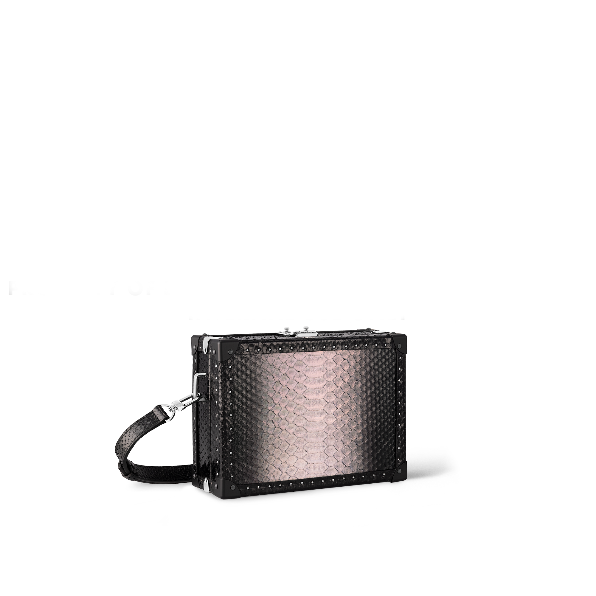 蠎蛇皮 Clutch Box 蟒蛇皮革 in Les Extraordinaires