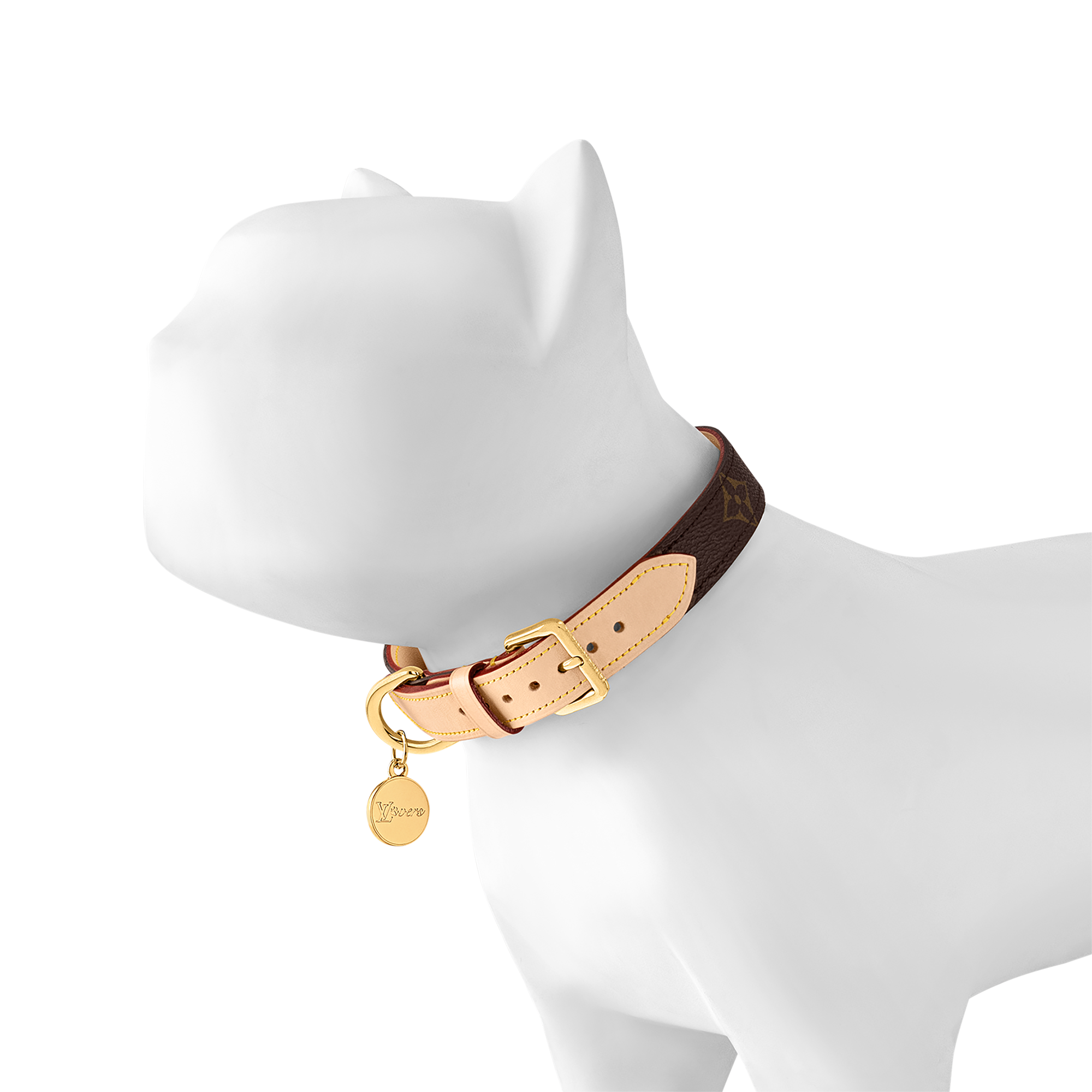 狗頸圈 MM  in 行李箱、旅行用品及家居精品