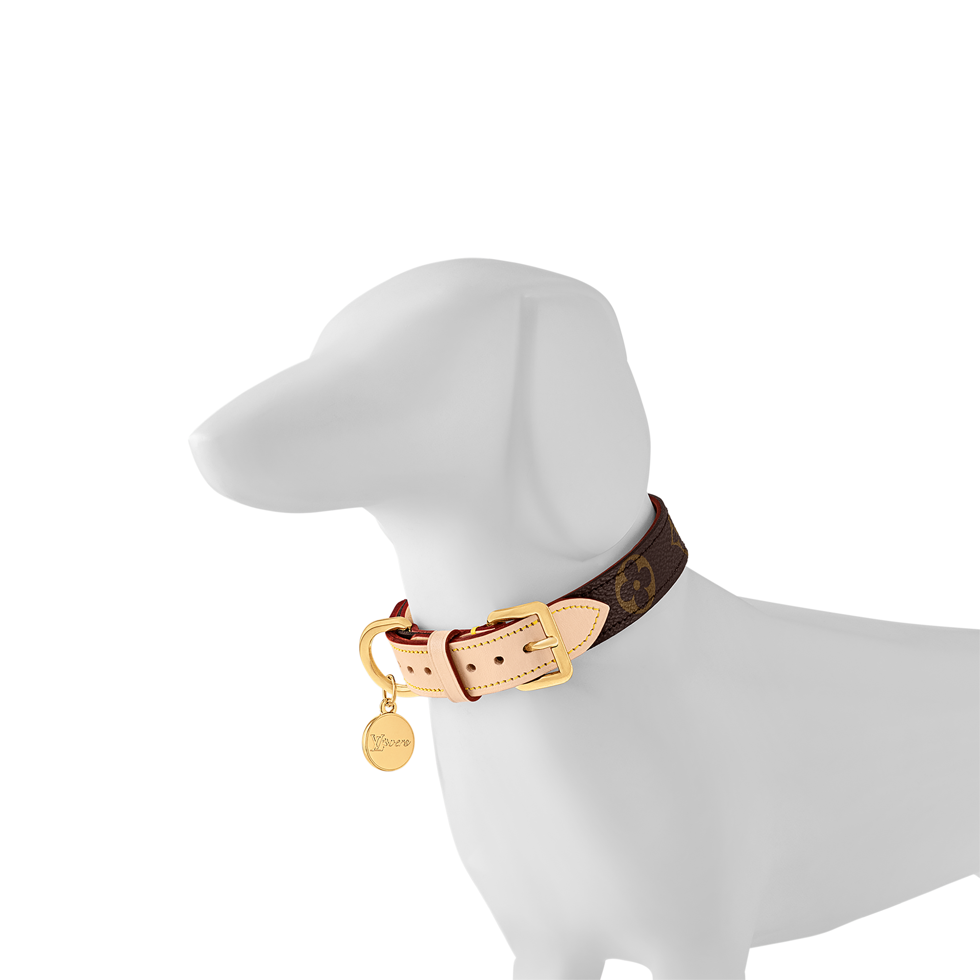 狗頸圈 PM  in 行李箱、旅行用品及家居精品