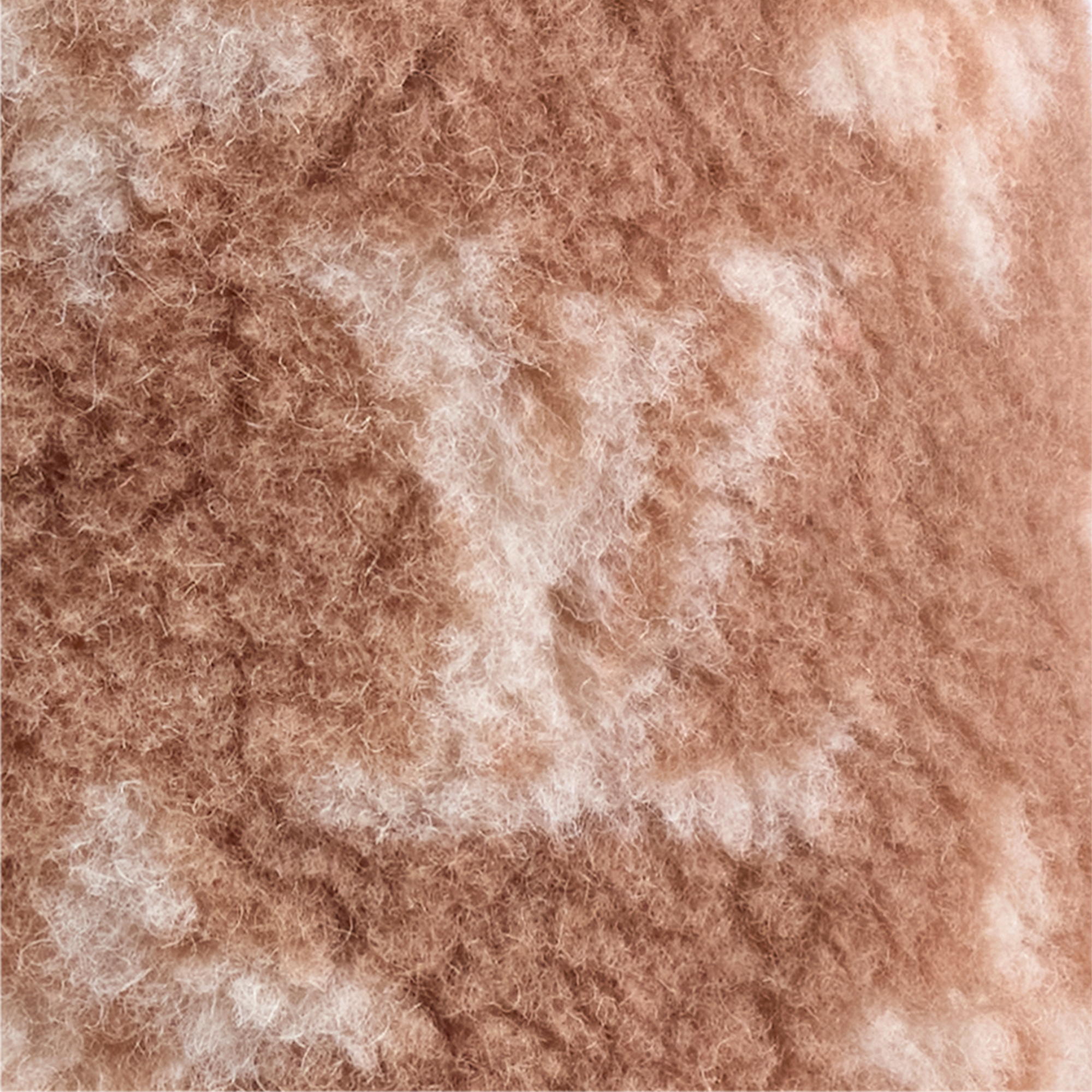 抓絨狗外套 XS . in 行李箱、旅行用品及家居精品