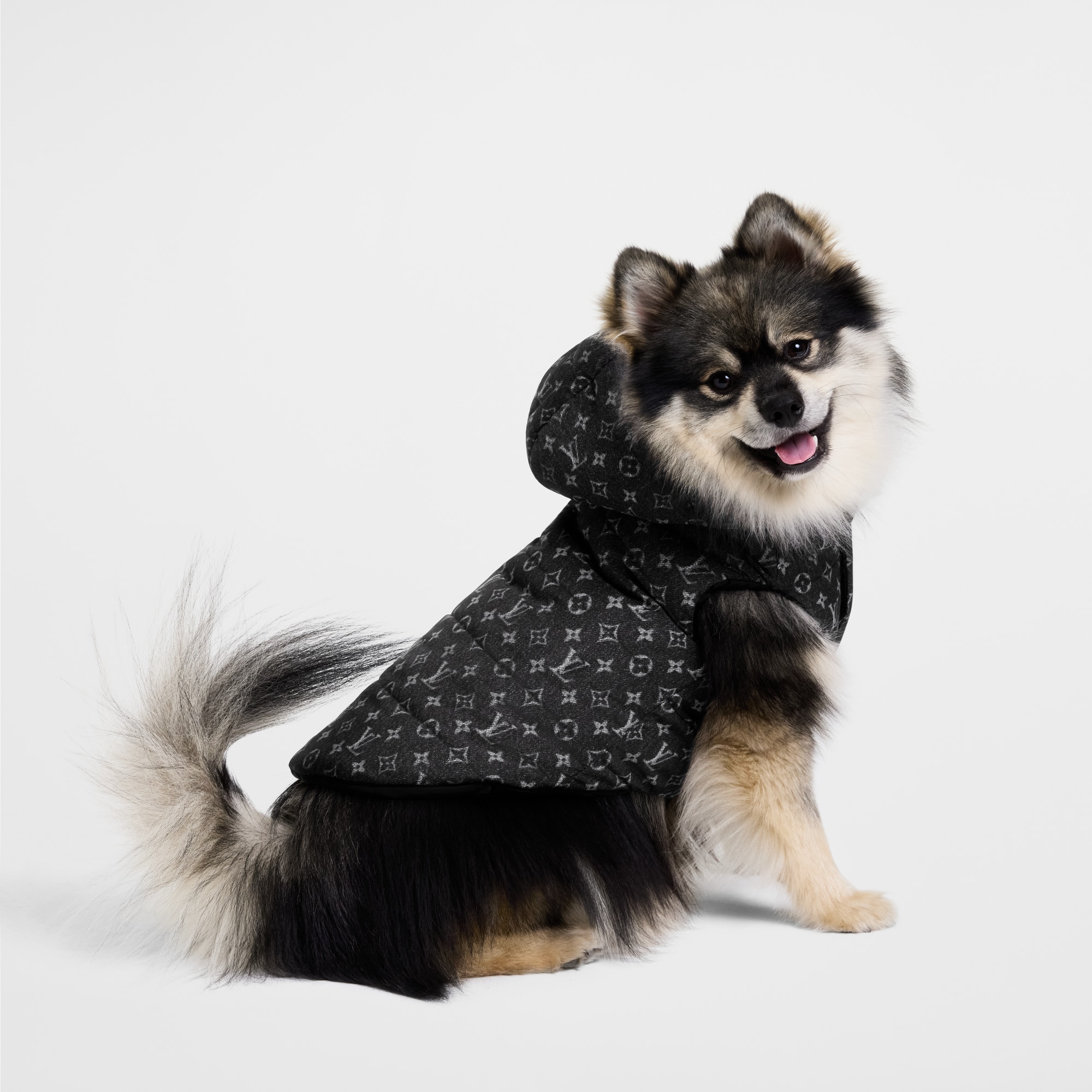 Dog Puffer Jacket PM . in Trunks, Travel and Home