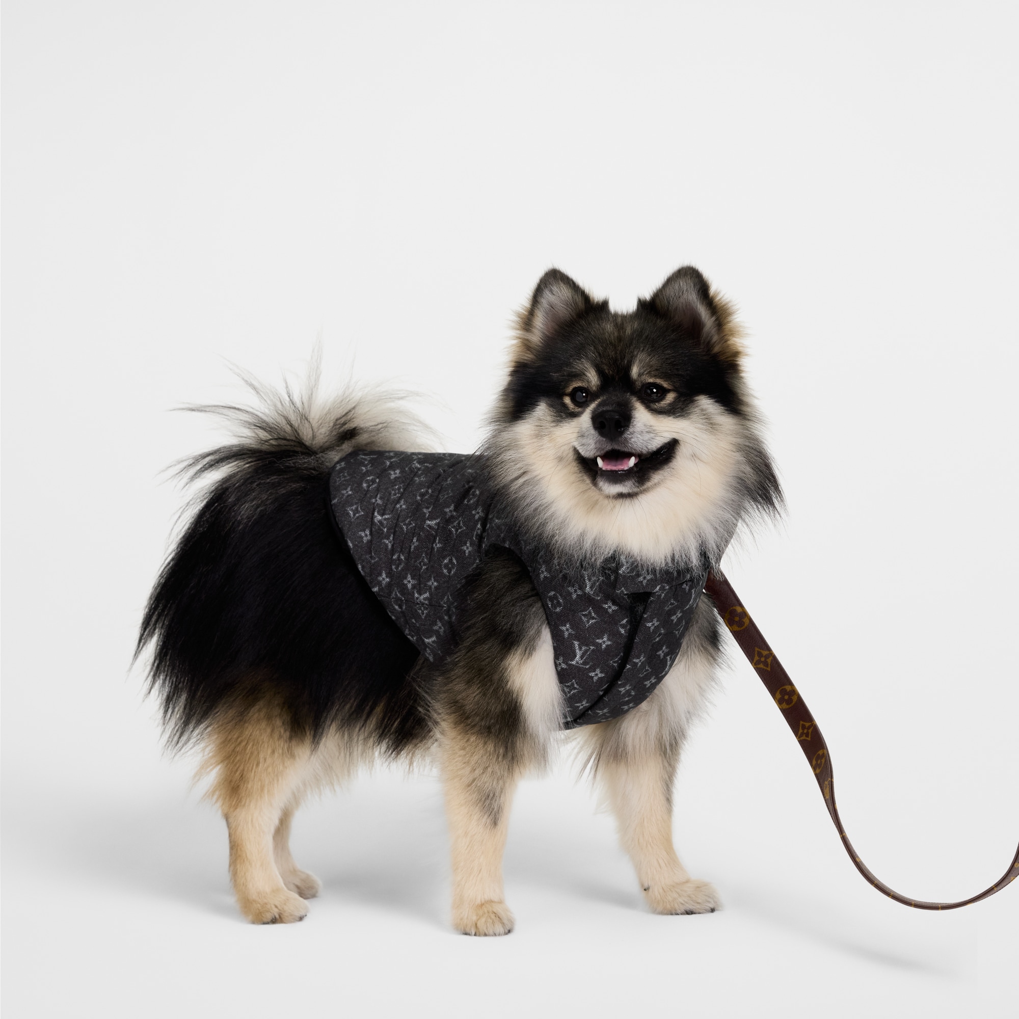 Dog Puffer Jacket PM . in Trunks, Travel and Home