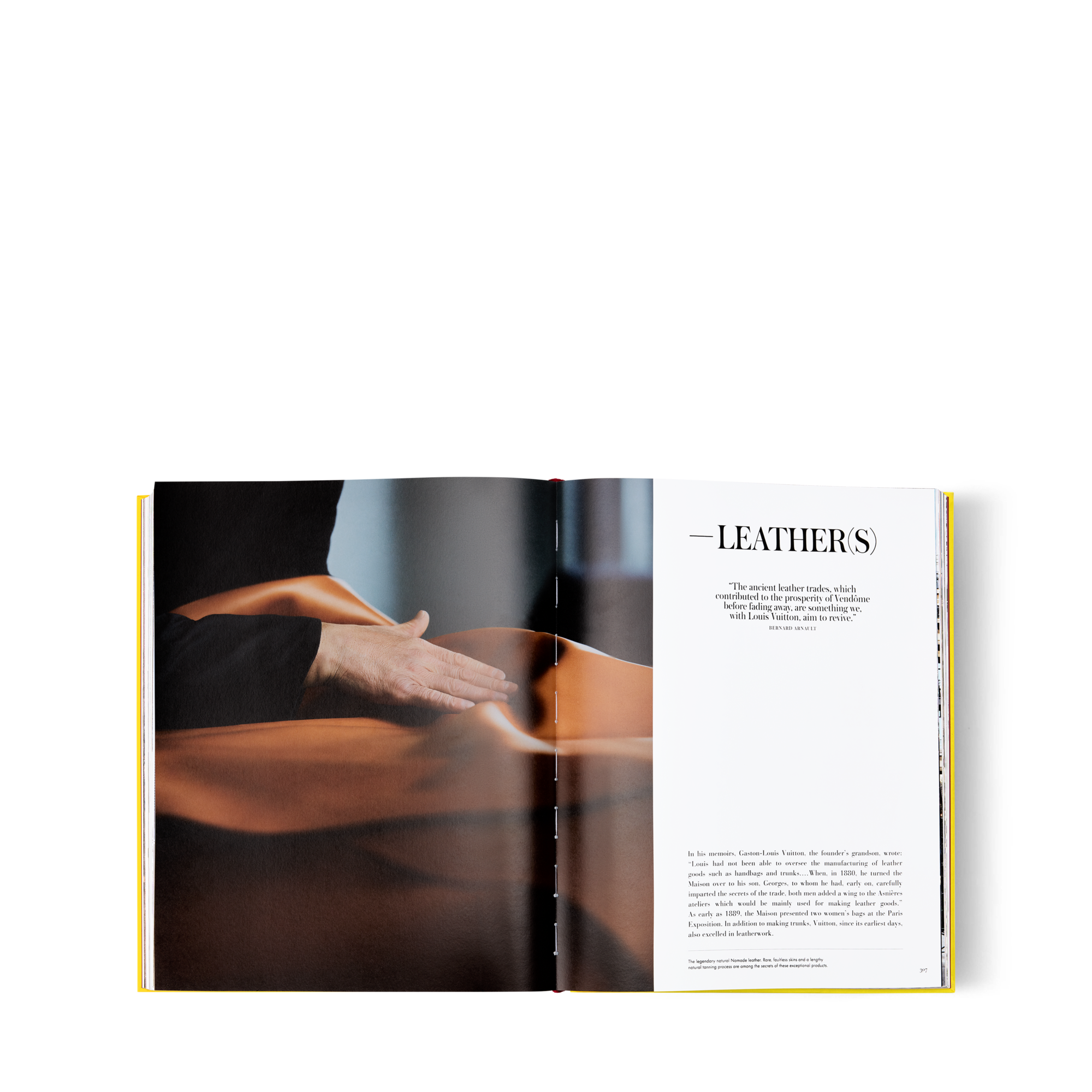 From Louis To Vuitton  in 行李箱、旅行用品及家居精品