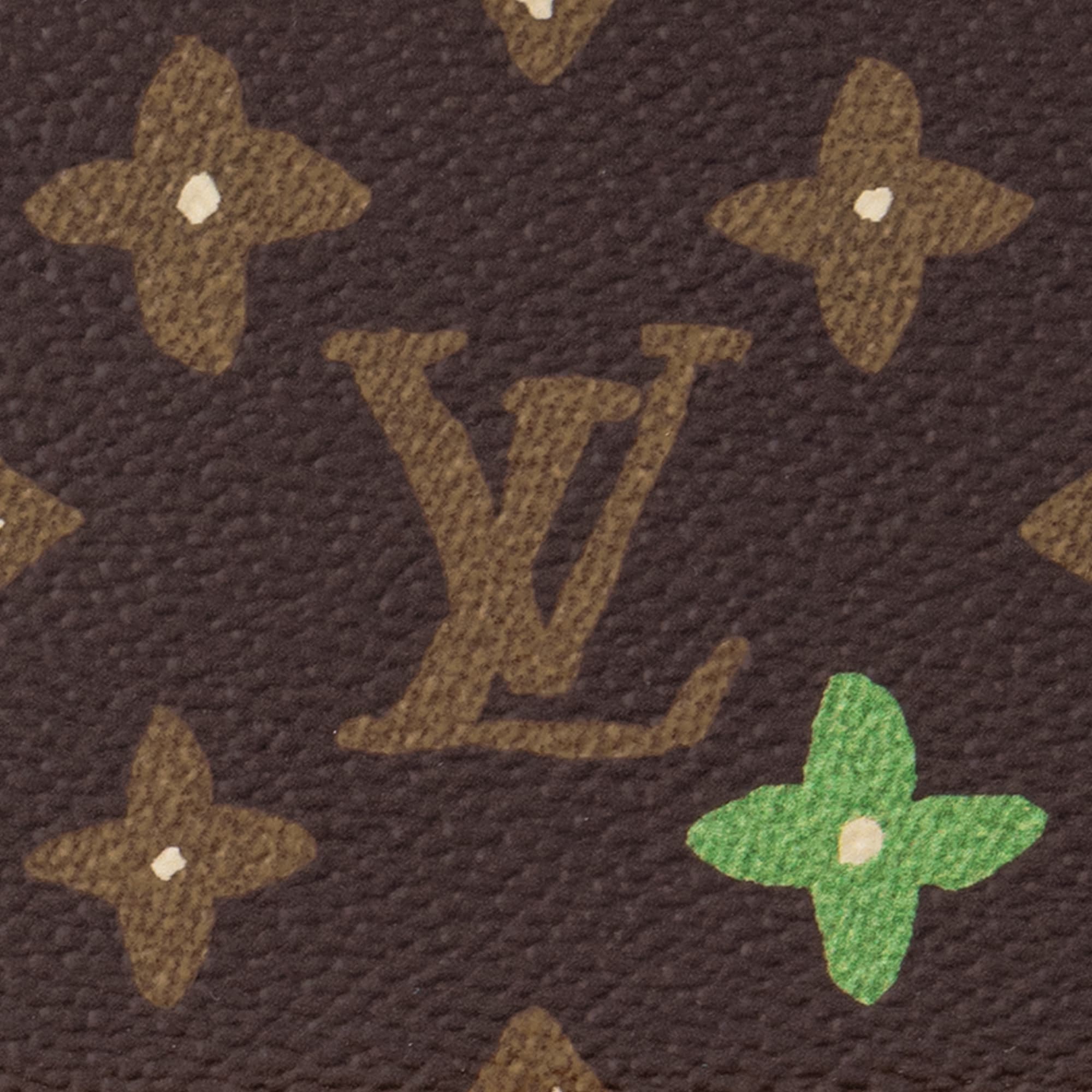 Handle Trunk Monogram Other Canvas in Les Extraordinaires