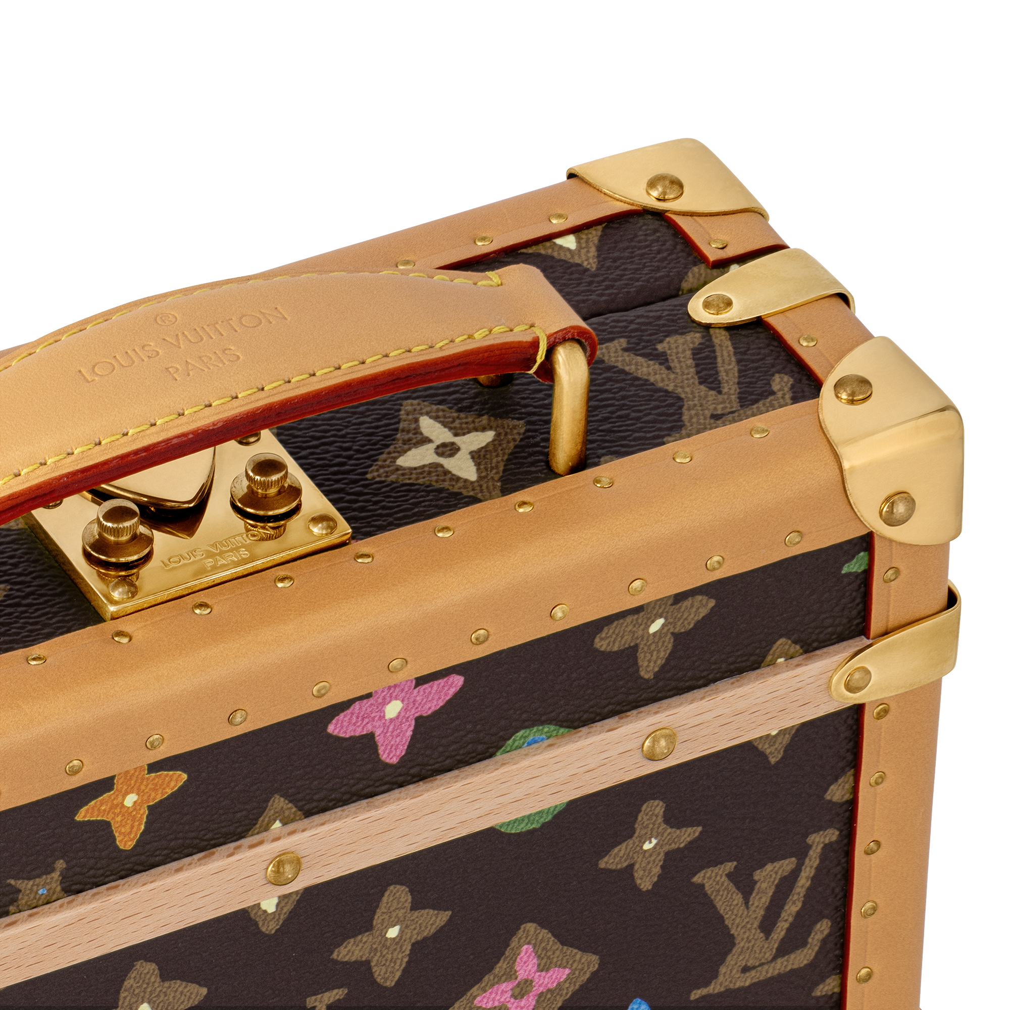 Handle Trunk Monogram Other Canvas in Les Extraordinaires