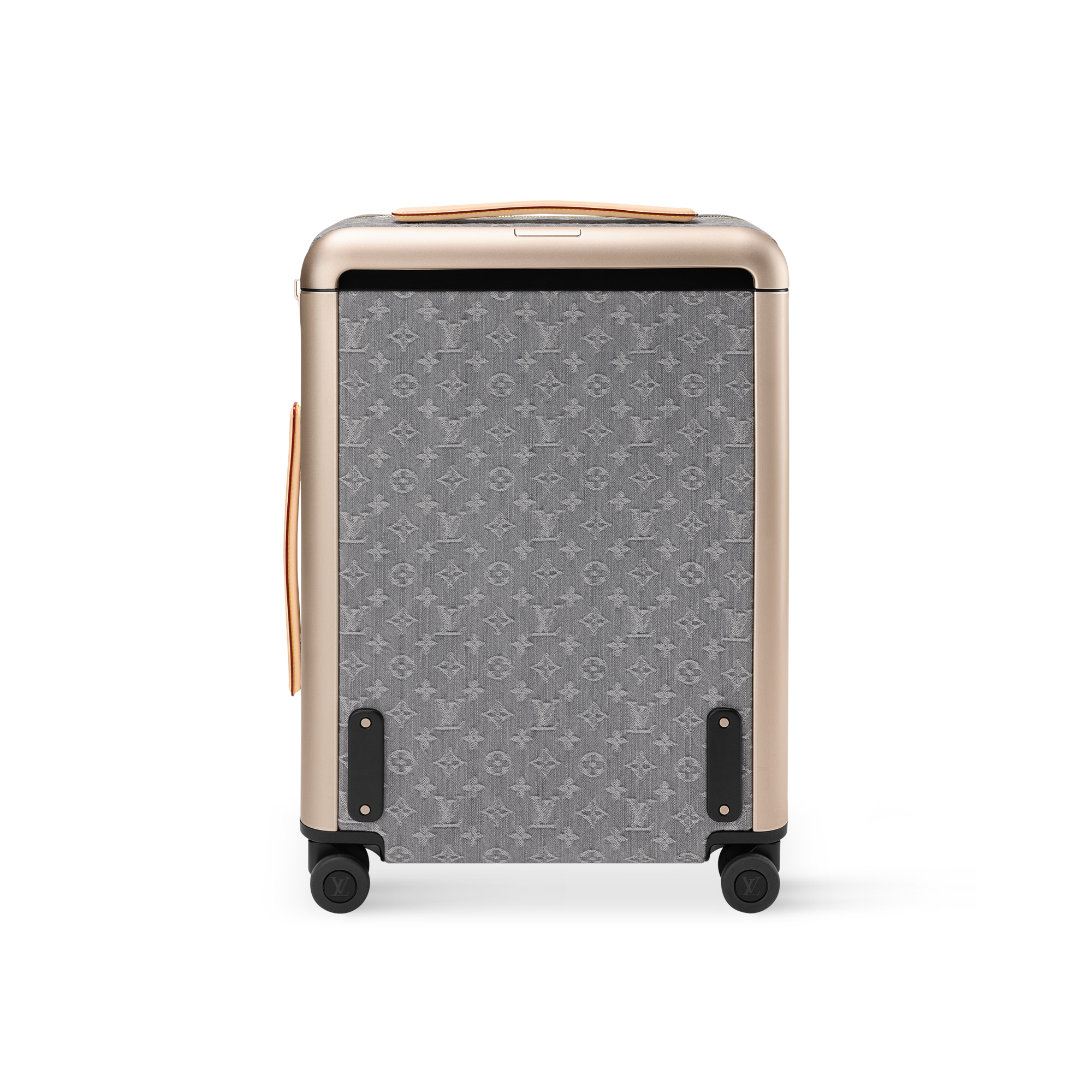 Horizon 55 其他 Monogram 帆布 in 女士