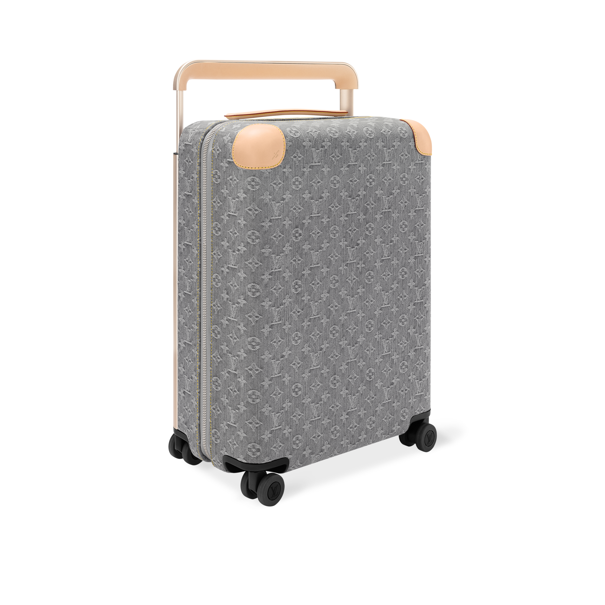 Horizon 55 其他 Monogram 帆布 in 女士