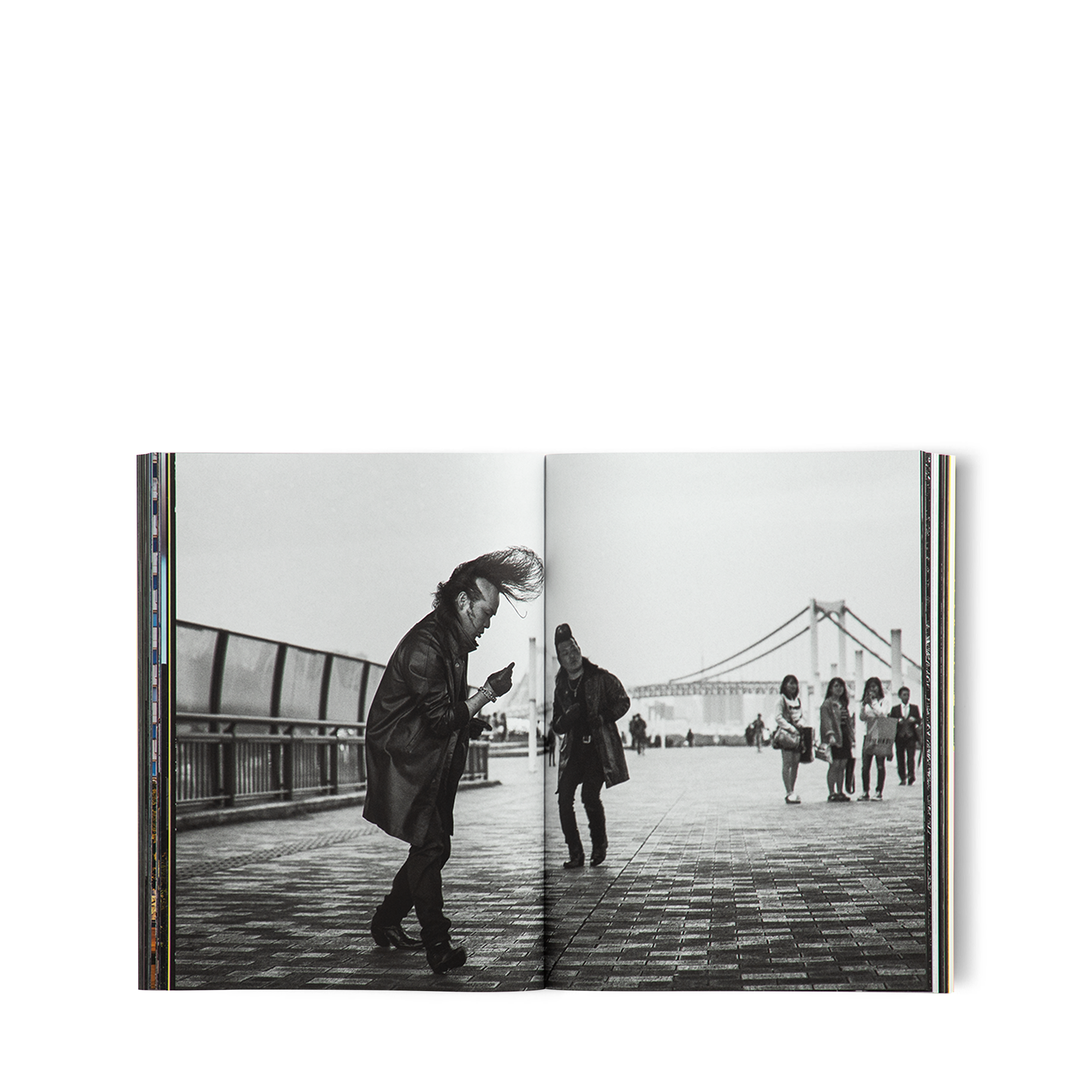 限量版 Cities on Earth  in 行李箱、旅行用品及家居精品