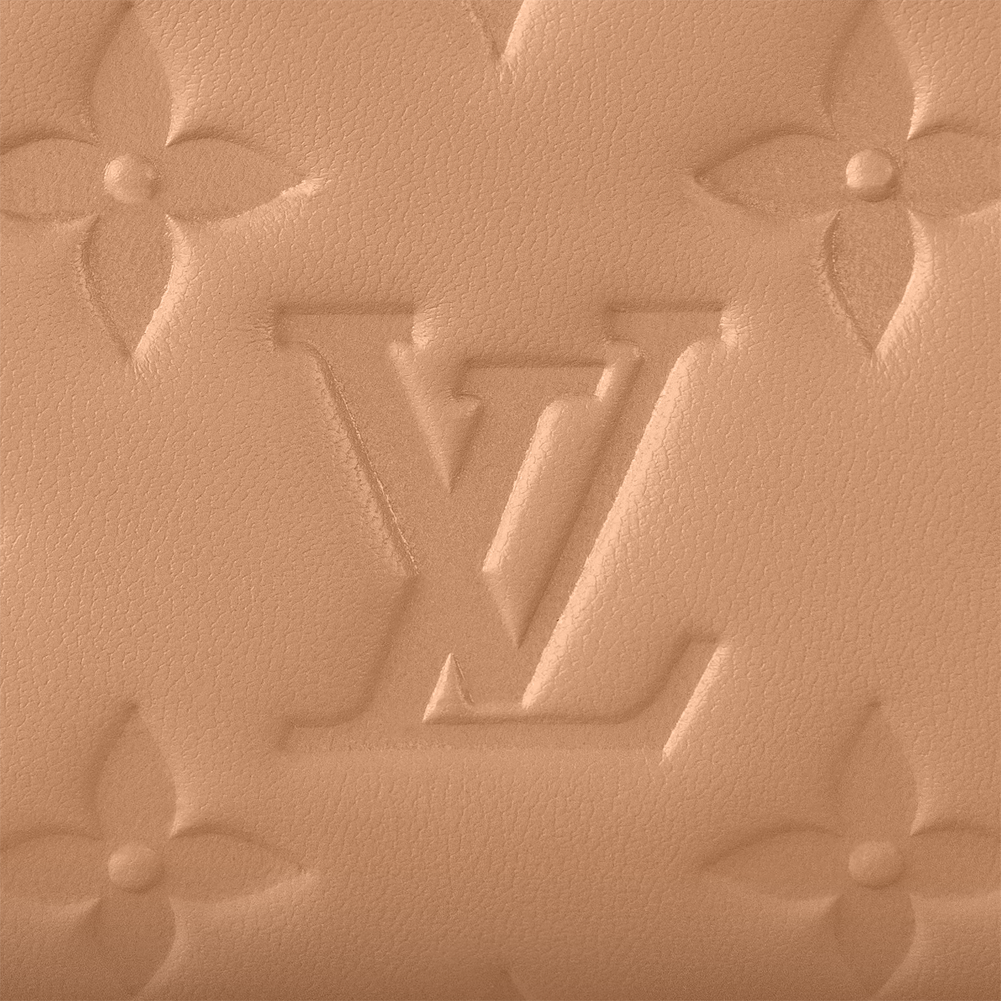 Lou 銀包 Coussin in 女士