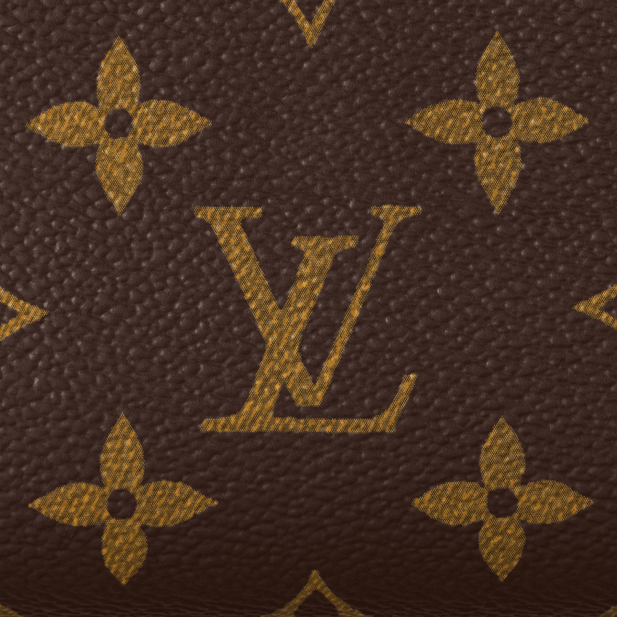 Lou Wallet Monogram Canvas in Women