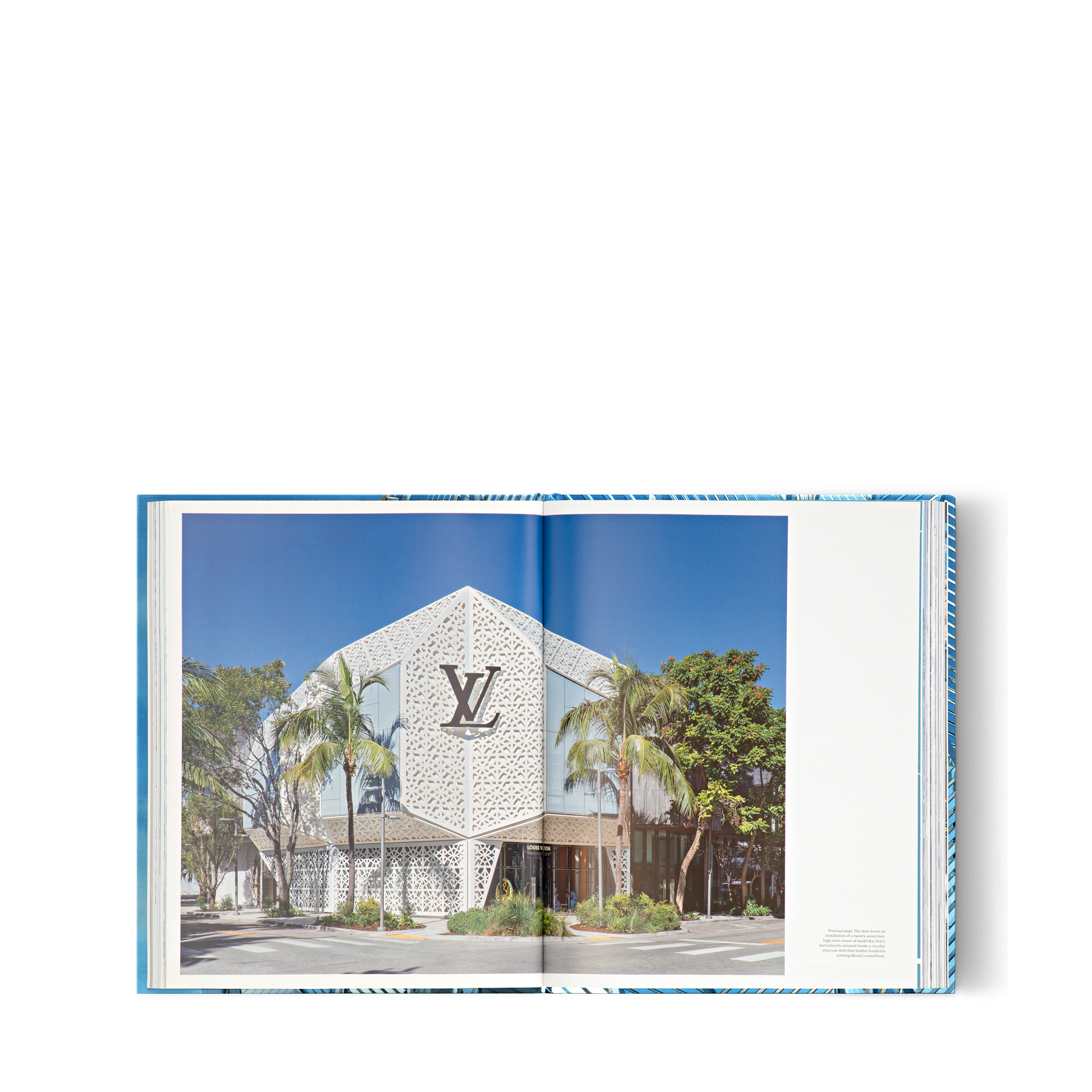 Louis Vuitton Skin: Architecture of Luxury (Beijing)  in Trunks, Travel and Home