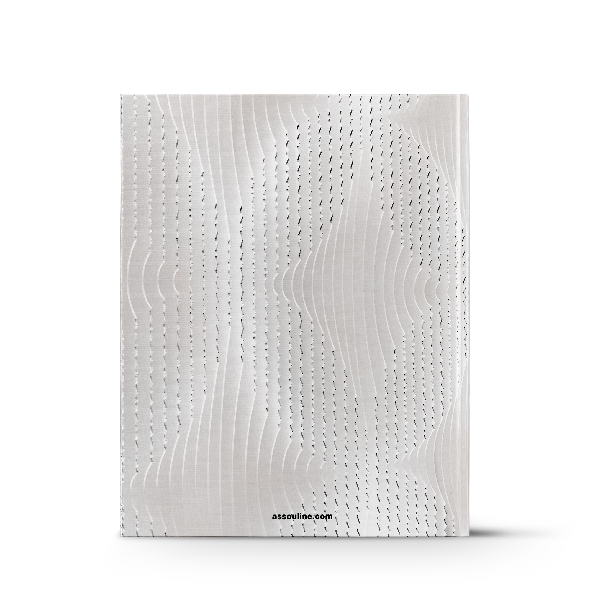 Louis Vuitton Skin: Architecture of Luxury (NYC)  in Trunks, Travel and Home