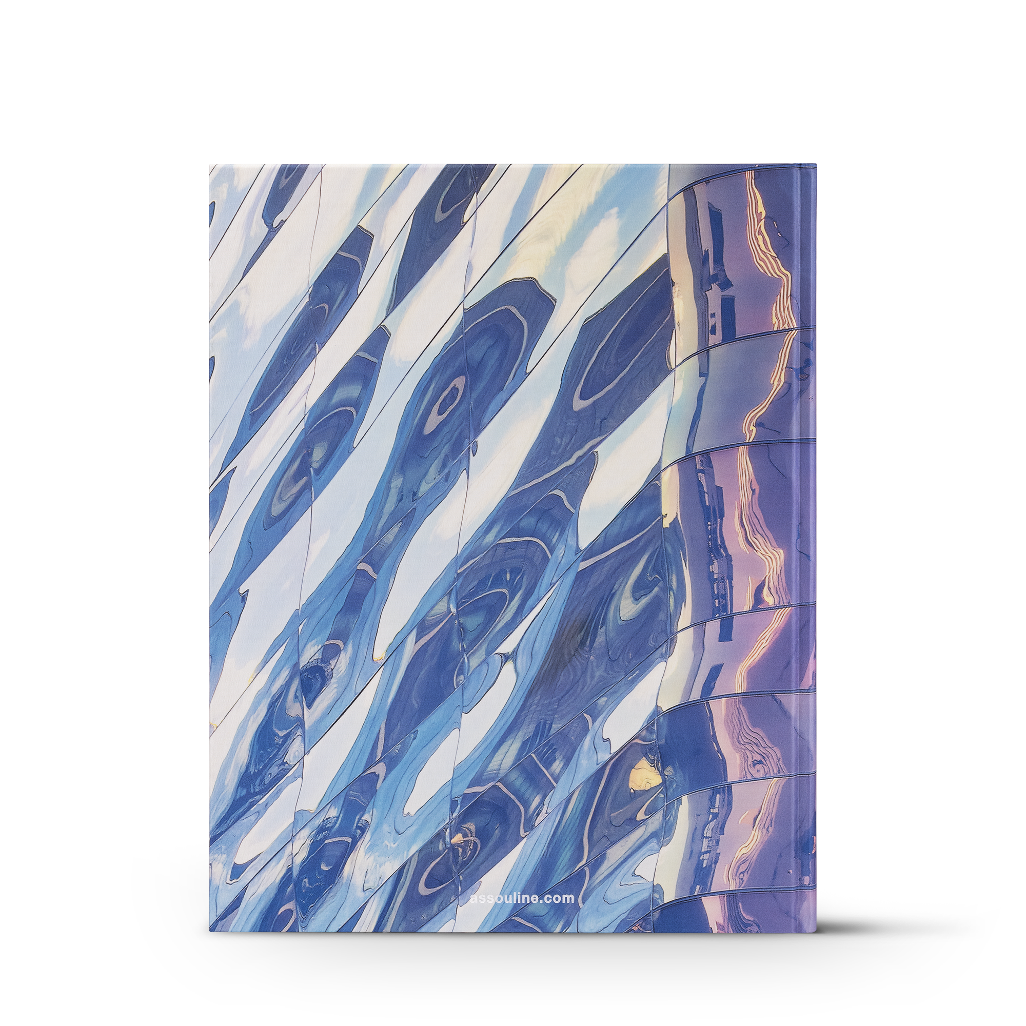 Louis Vuitton Skin: Architecture of Luxury (Tokyo)  in Trunks, Travel and Home