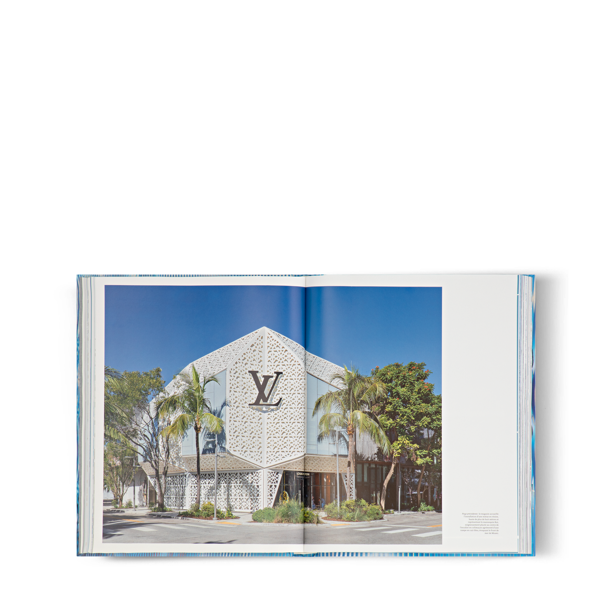Louis Vuitton Skin: Architecture Of Luxury  in Trunks, Travel and Home