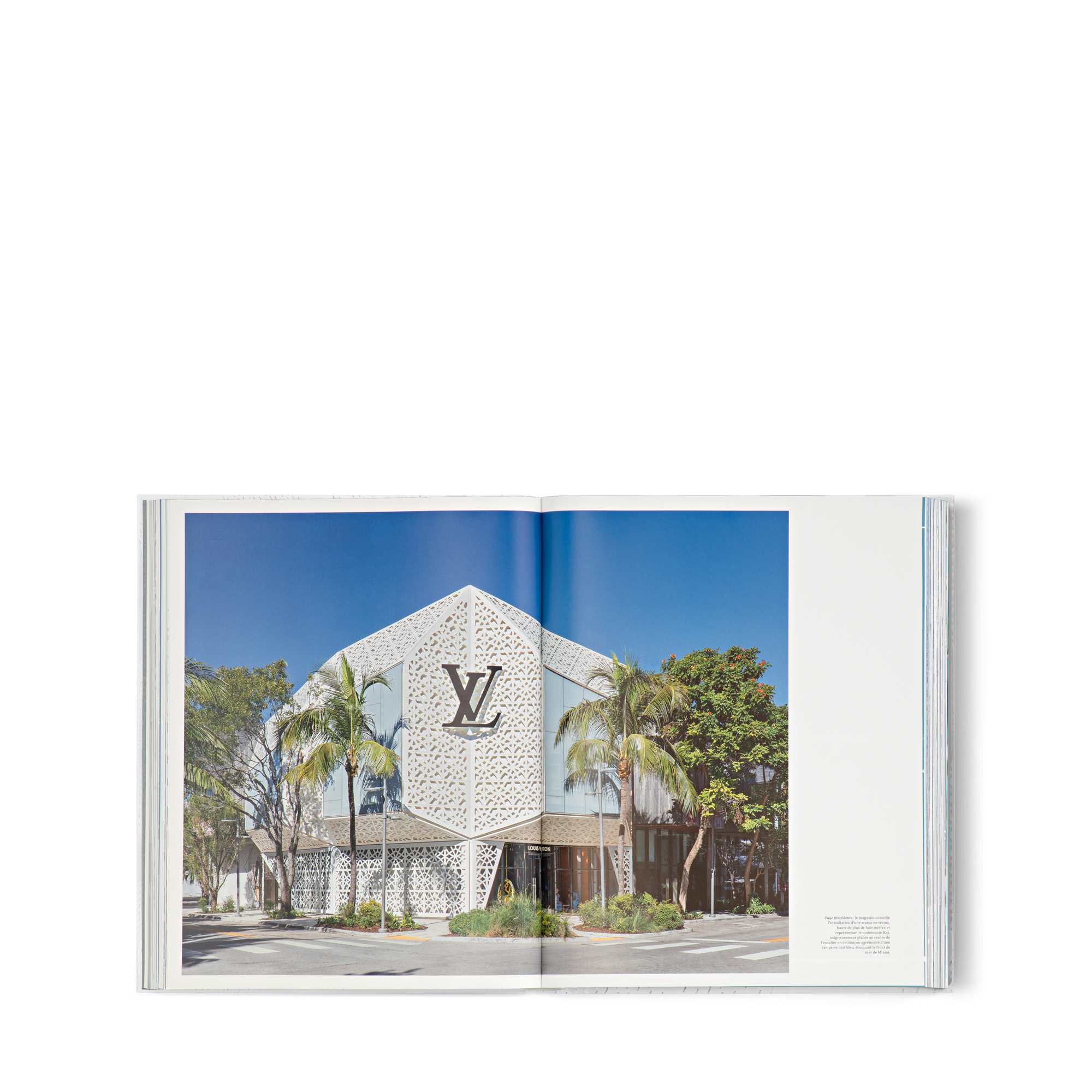 Louis Vuitton Skin: Architecture of Luxury（紐約）  in 行李箱、旅行用品及家居精品