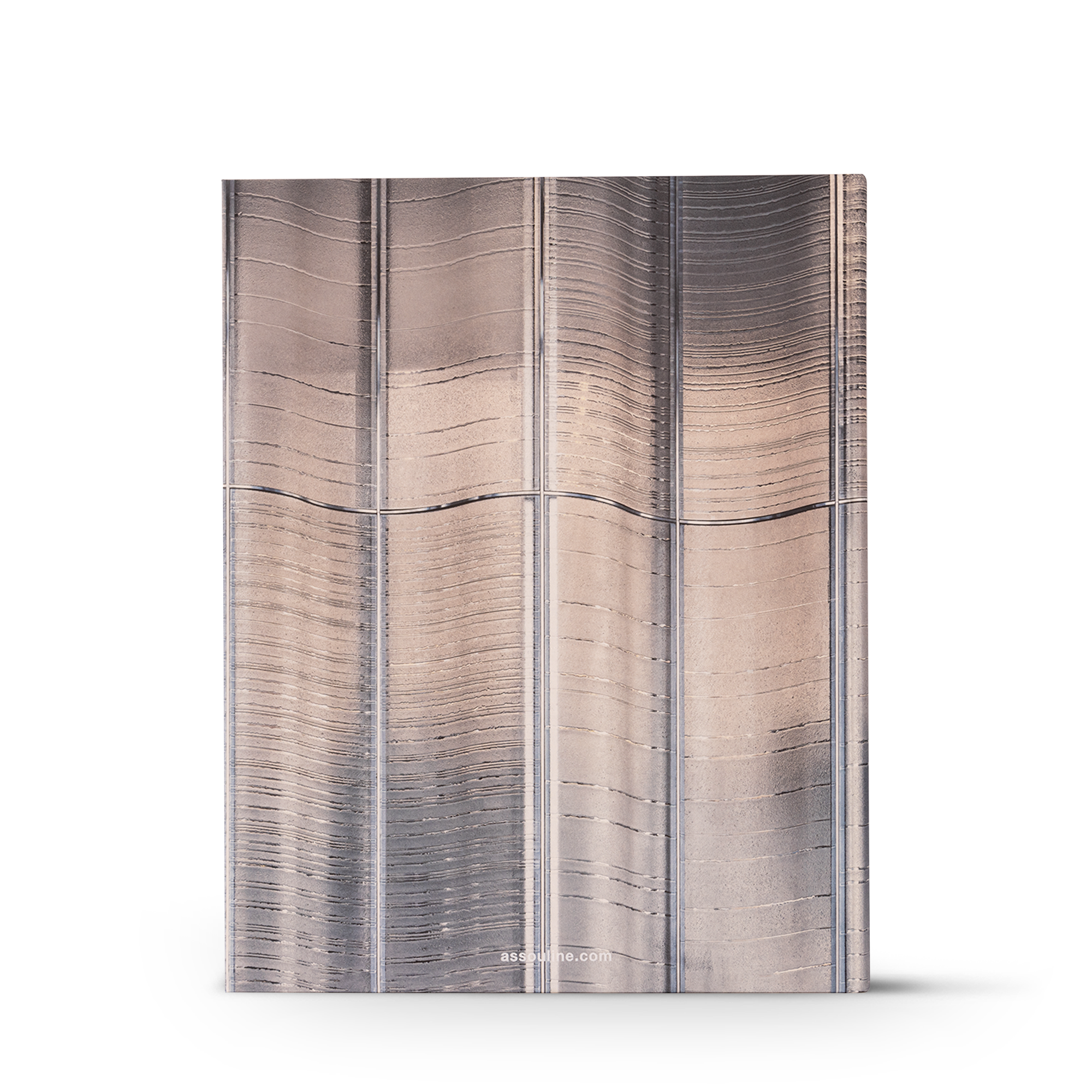 Louis Vuitton Skin: Architecture of Luxury（新加坡）  in 行李箱、旅行用品及家居精品