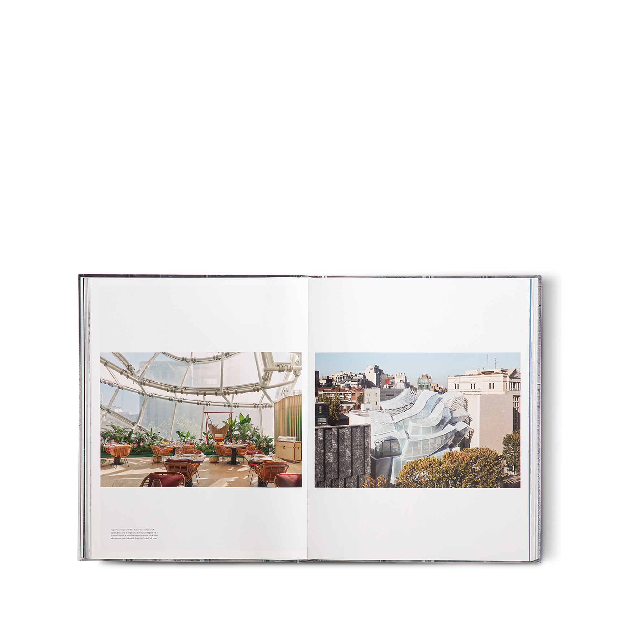 Louis Vuitton Skin: Architecture of Luxury（新加坡）  in 行李箱、旅行用品及家居精品