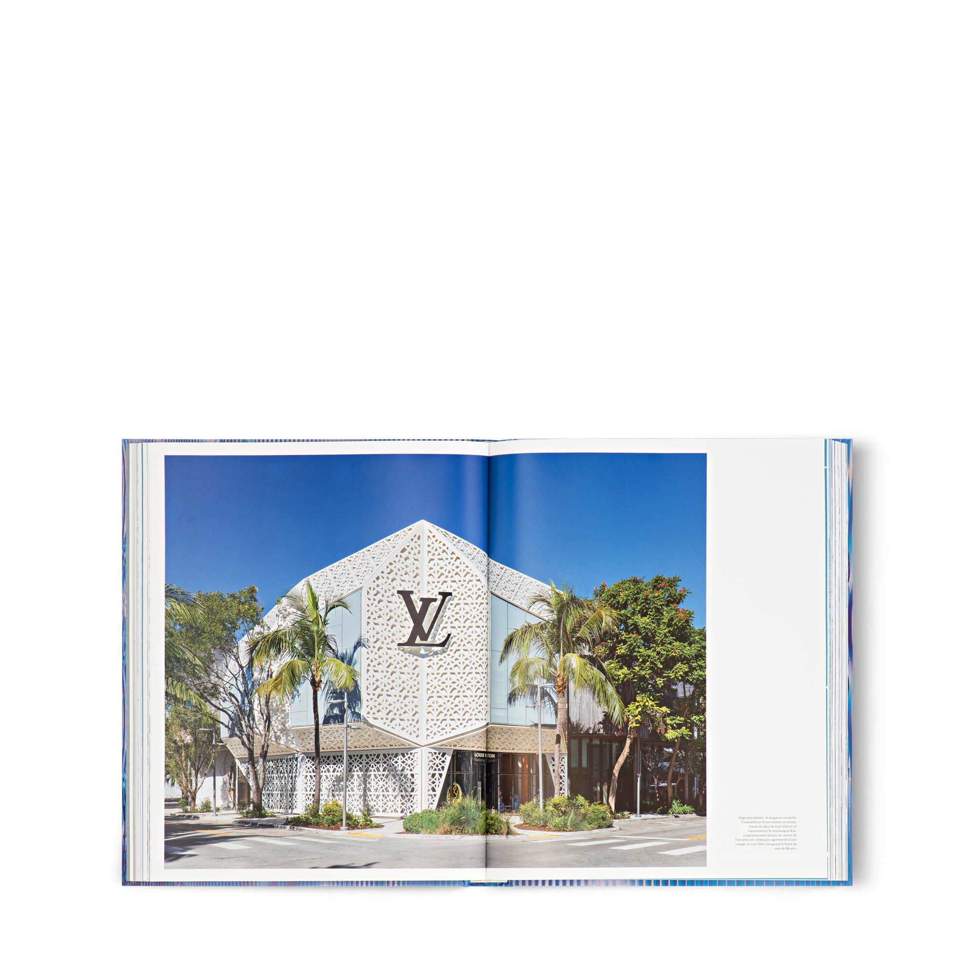 Louis Vuitton Skin: Architecture of Luxury（日本）  in 行李箱、旅行用品及家居精品