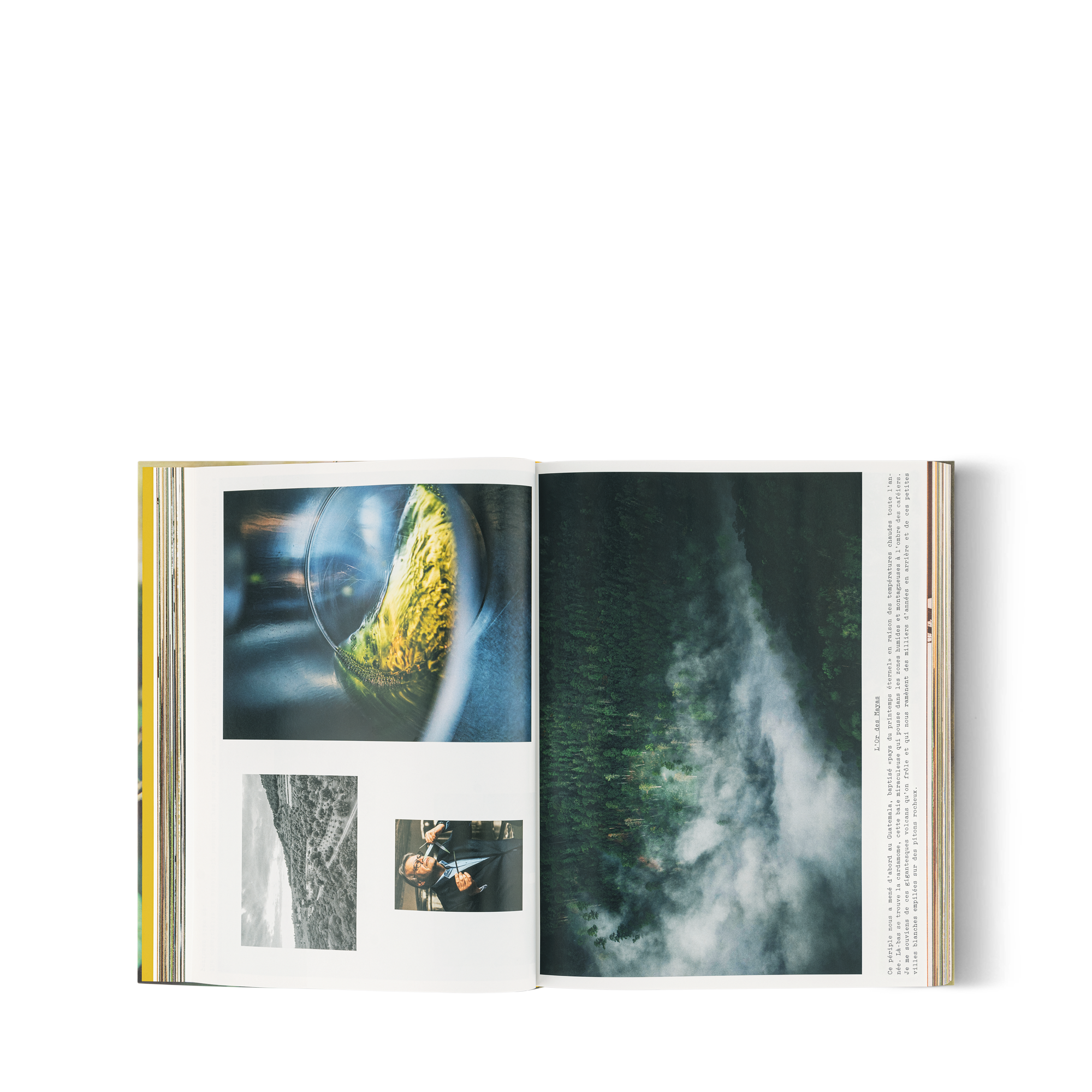 Louis Vuitton: A Perfume Atlas, French Version  in Trunks, Travel and Home