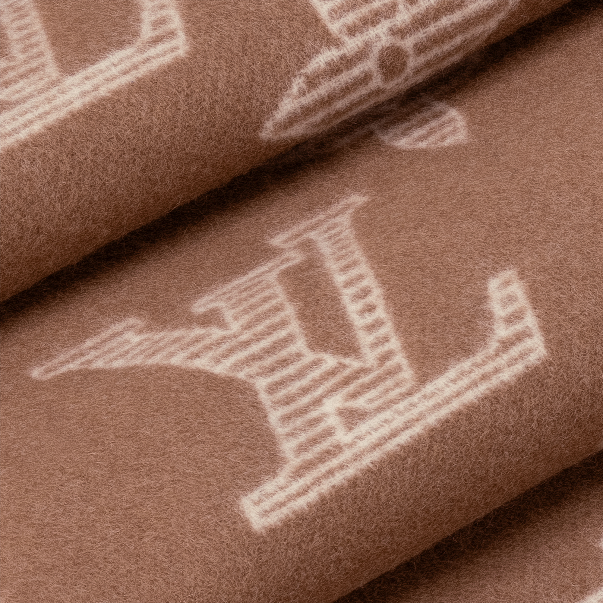 Monogram Shadow 頸巾 . in 男士