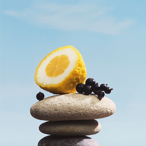 Pacific Chill in Perfumes and Beauty's Collections Masculine Perfumes collections by Louis Vuitton (Product zoom)