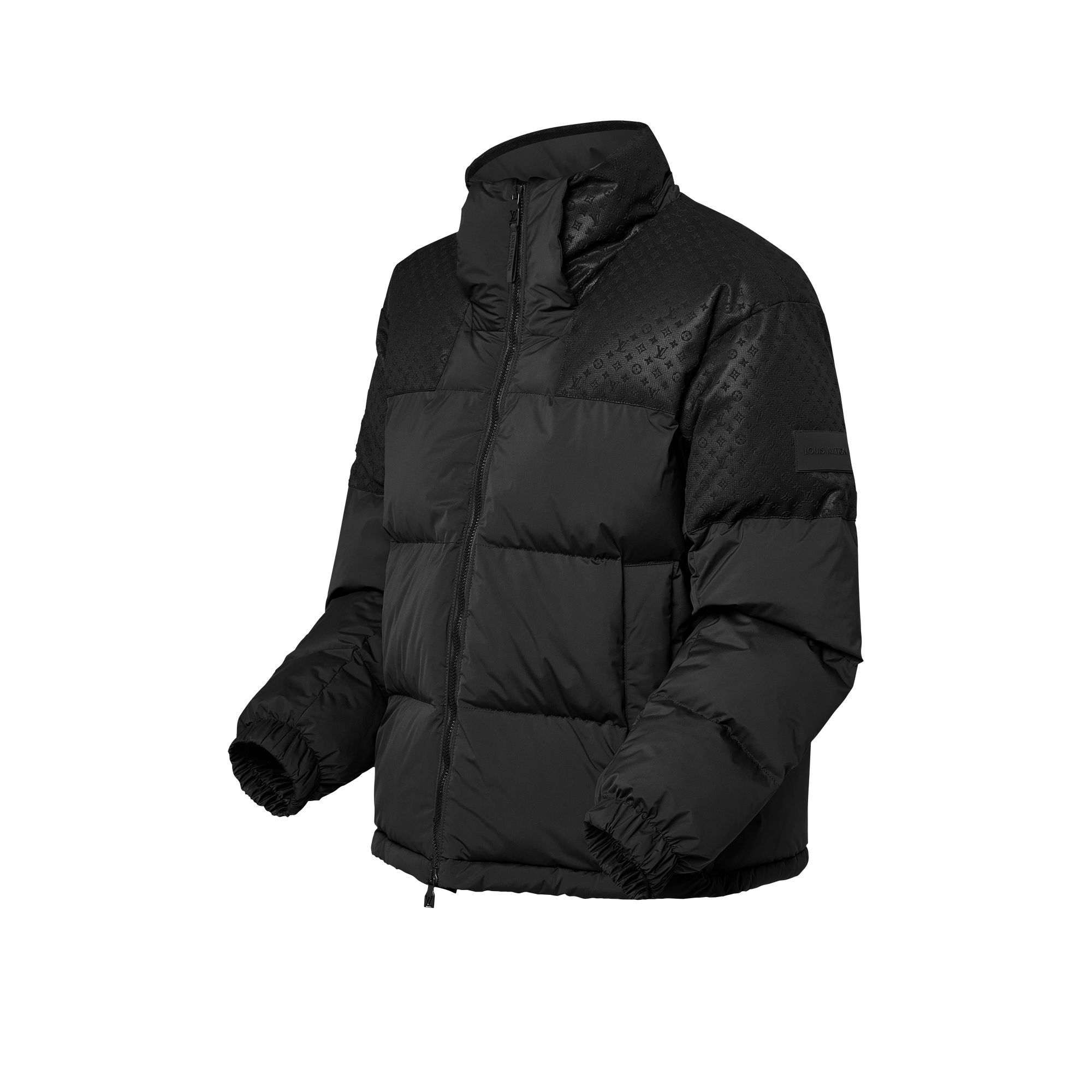 Placed Monogram Ecodown Blouson  in Men