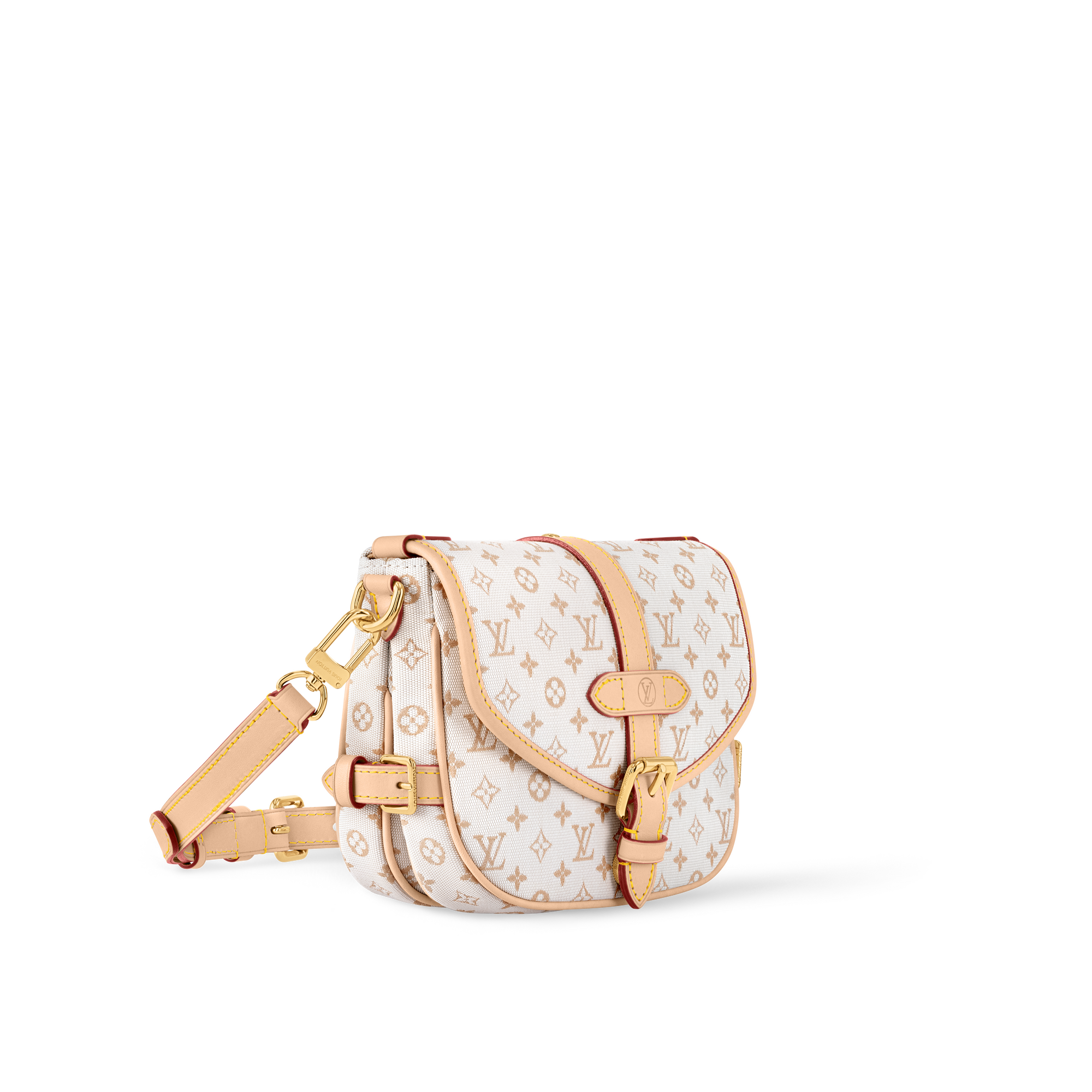 Saumur BB Other Monogram Canvas in Women