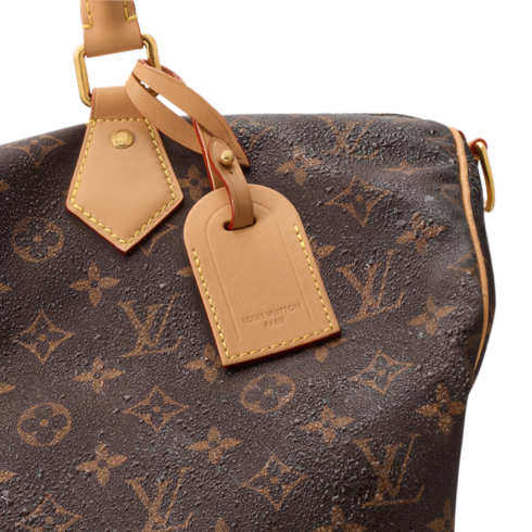 Speedy 40 Bandoulière G76 in Men's Bags All Bags for Men collections by Louis Vuitton