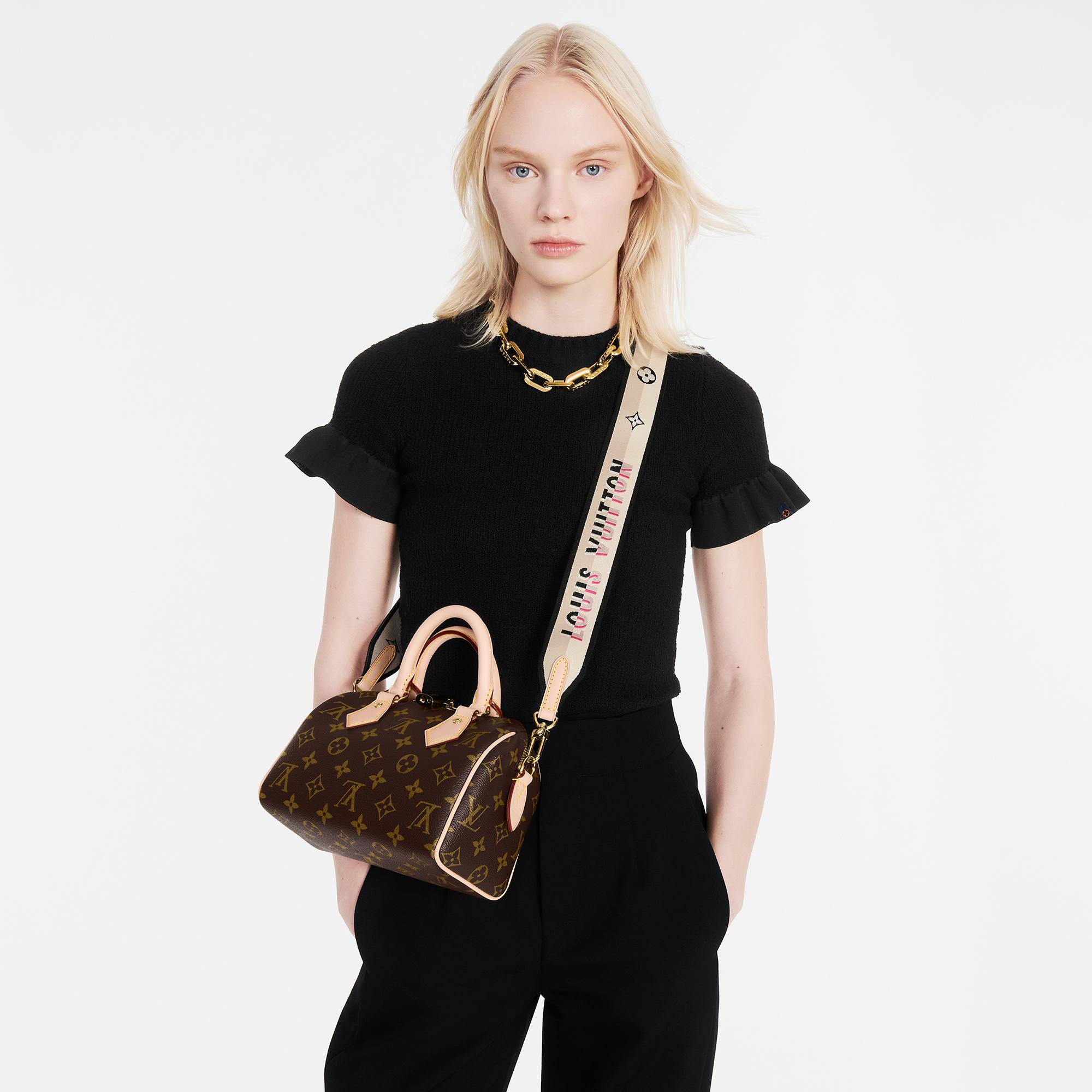 speedy de louis vuitton