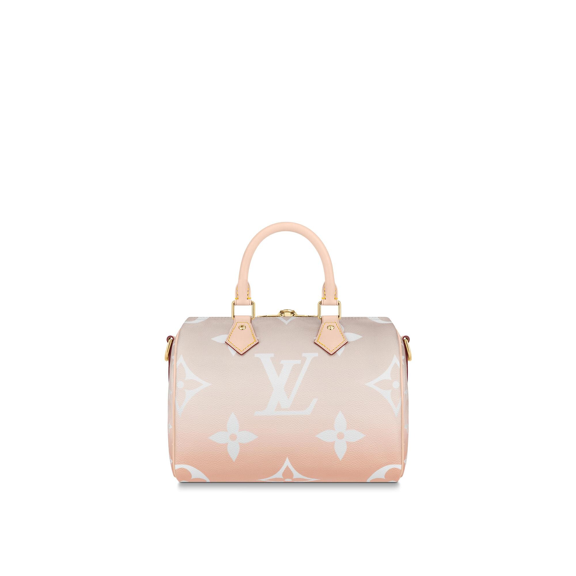 speedy louis vuitton