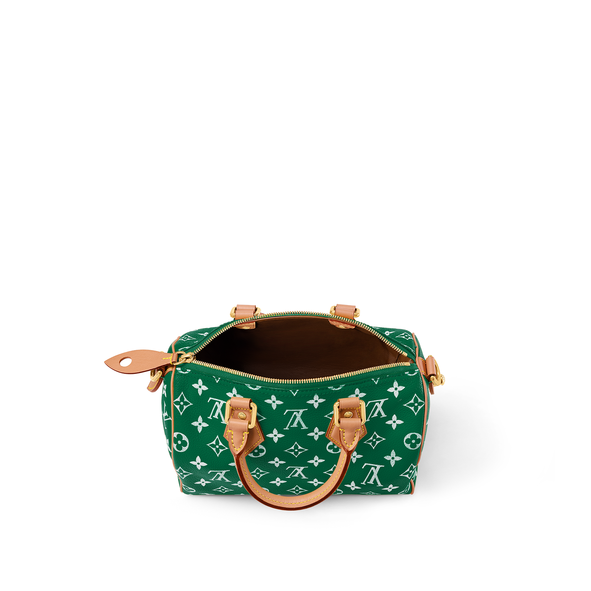 Speedy P9 Bandoulière 25 H40 in Les Extraordinaires