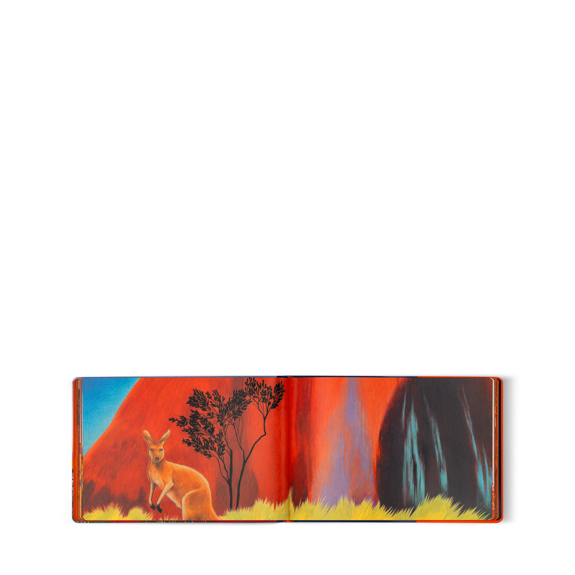 Travel Book Australia  in 行李箱、旅行用品及家居精品