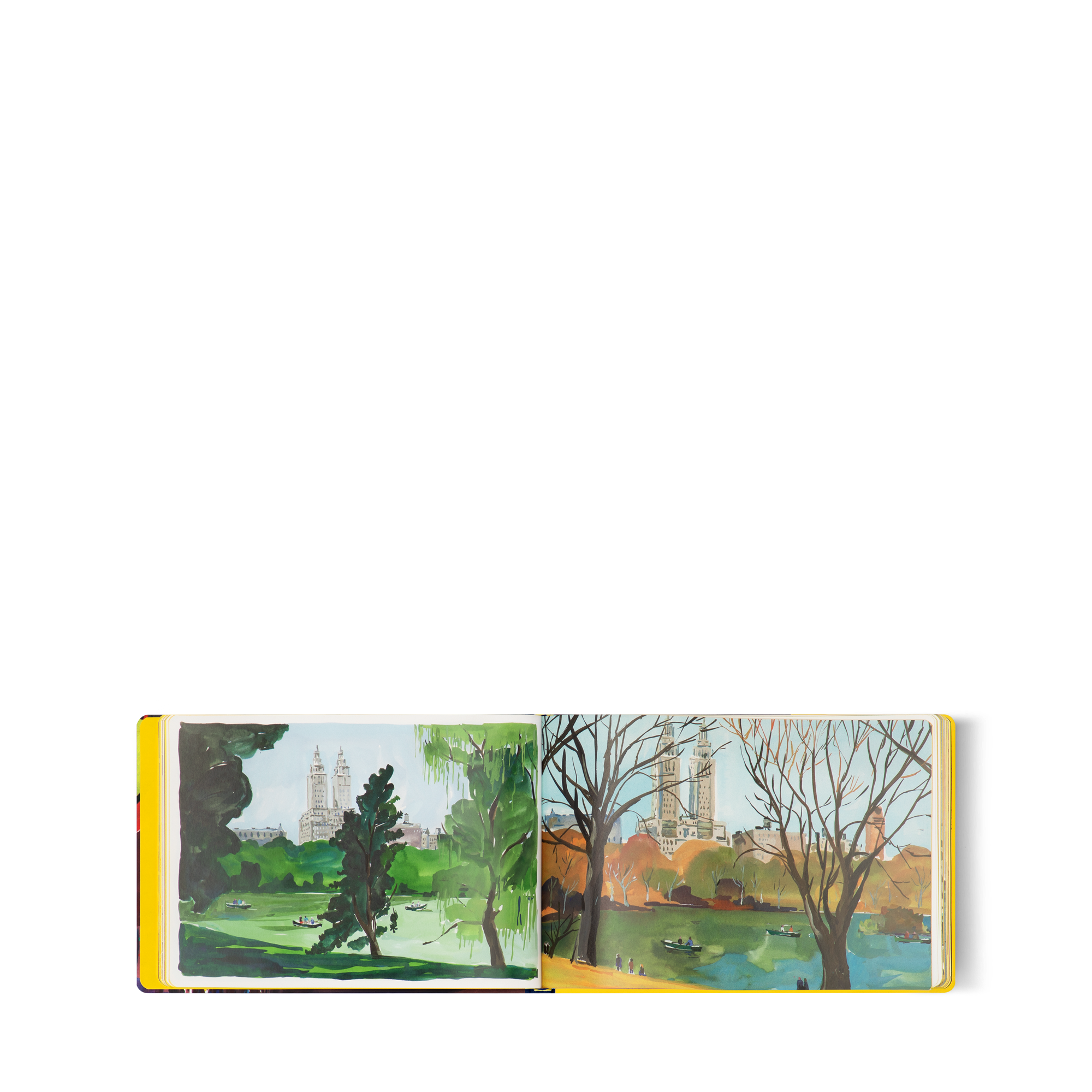 Travel Book New York  in 行李箱、旅行用品及家居精品