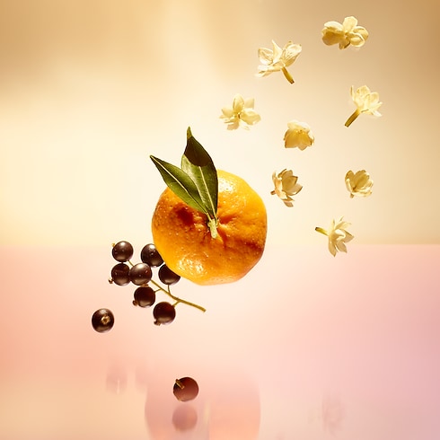 Travel Spray Le Jour se Lève in Perfumes and Beauty's All Perfumes } collections by Louis Vuitton (Product zoom)